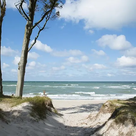 Seeschwalbe 35 Fuhlendorf (Mecklenburg-Vorpommern)