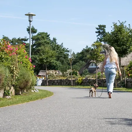 Seeschwalbe 35 Nyaraló *