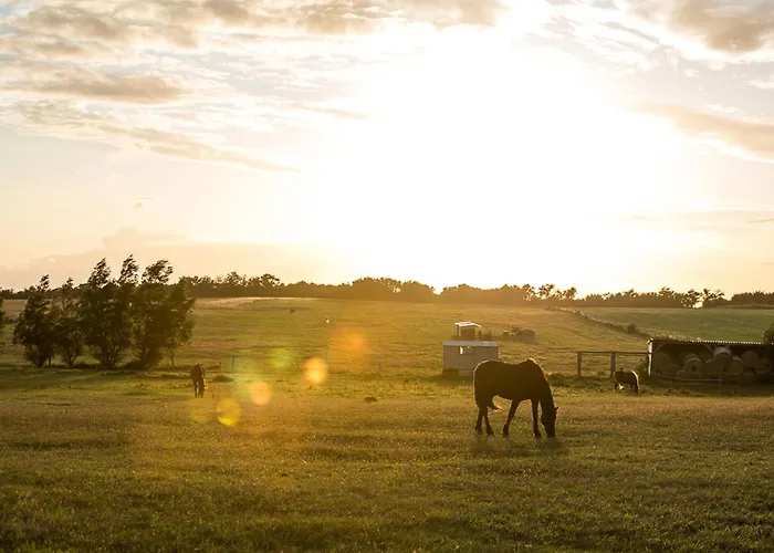 Seeschwalbe 35 Дом отдыха