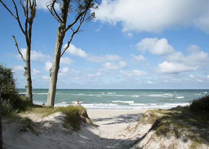 Дом отдыха Seeschwalbe 35